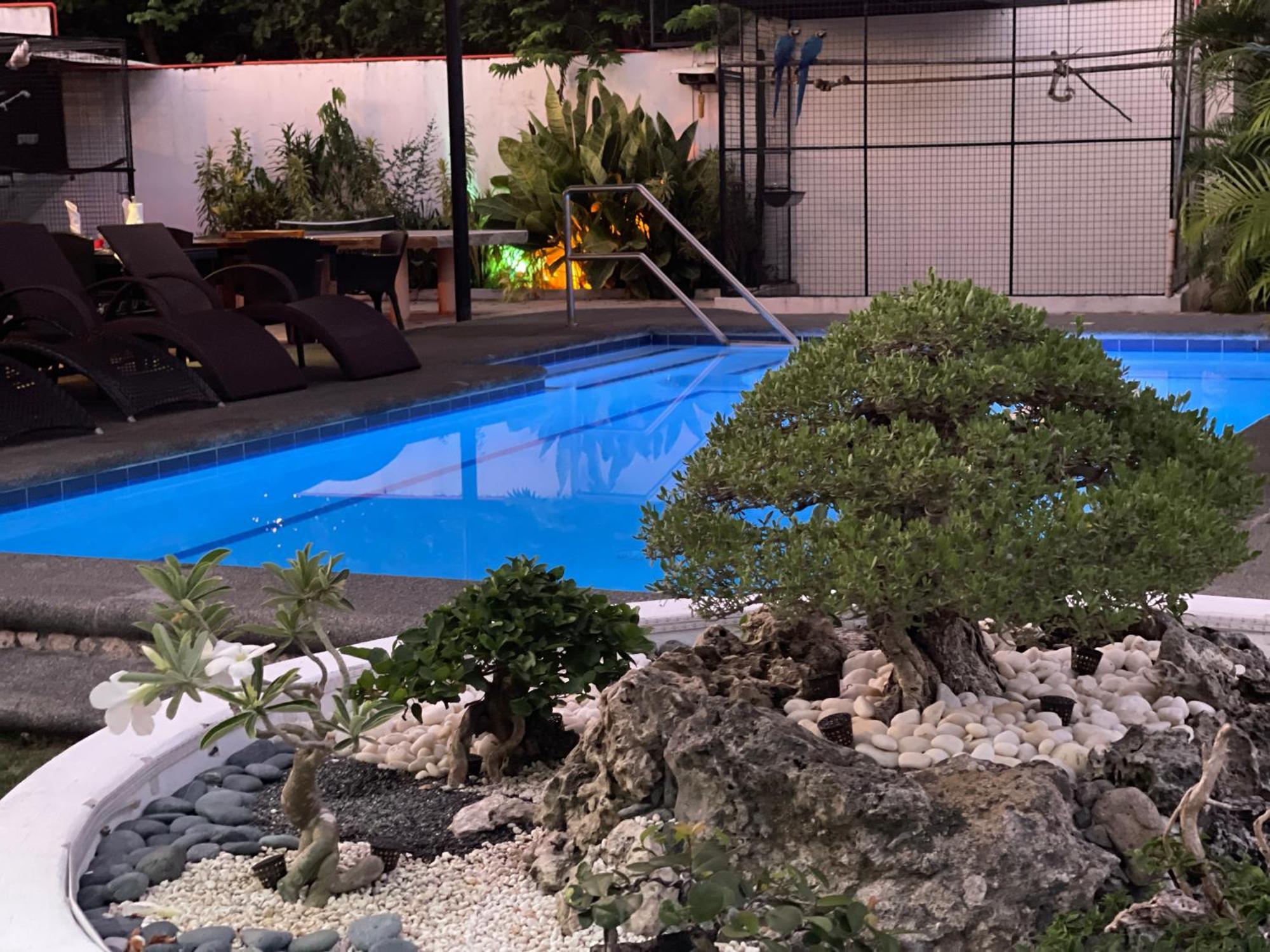 Parrot Resort Moalboal Exterior photo